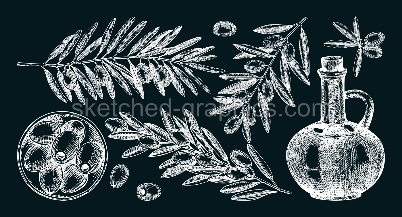 Olive tree branches on chalkboard. Fruit in a bowl, glass bottle, olives sketches. Hand-drawn vector illustration. Oil packaging design elements Illustration